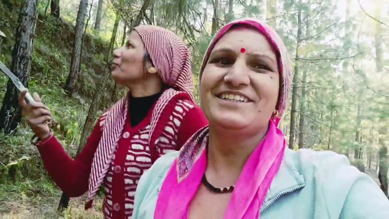 💁ठंड की छुट्टियों के लिए आ रही है बाजार की 👭बहू घर और उनकी ड्यूटी भी लग गई जंगल में घास काटने 🥰 की