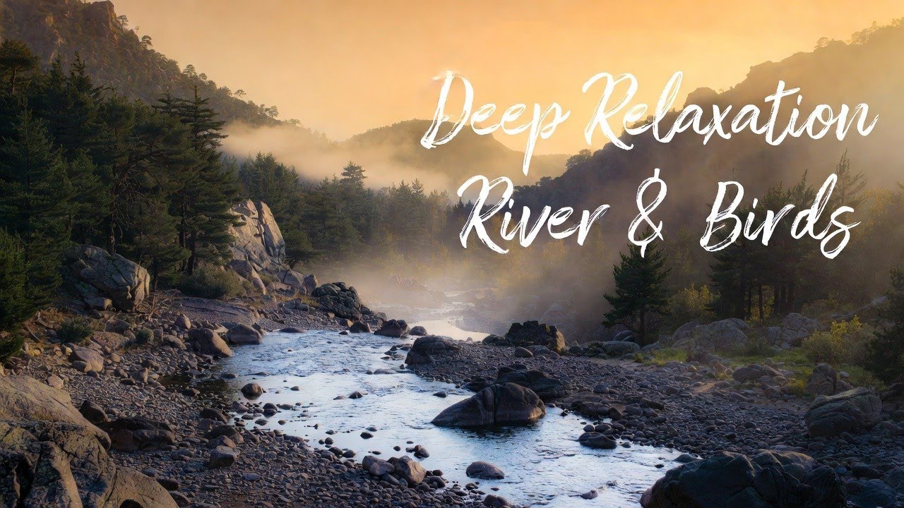 Tranquil Forest Stream & Forest Birds Singing | Calming Water Sounds for Relaxation