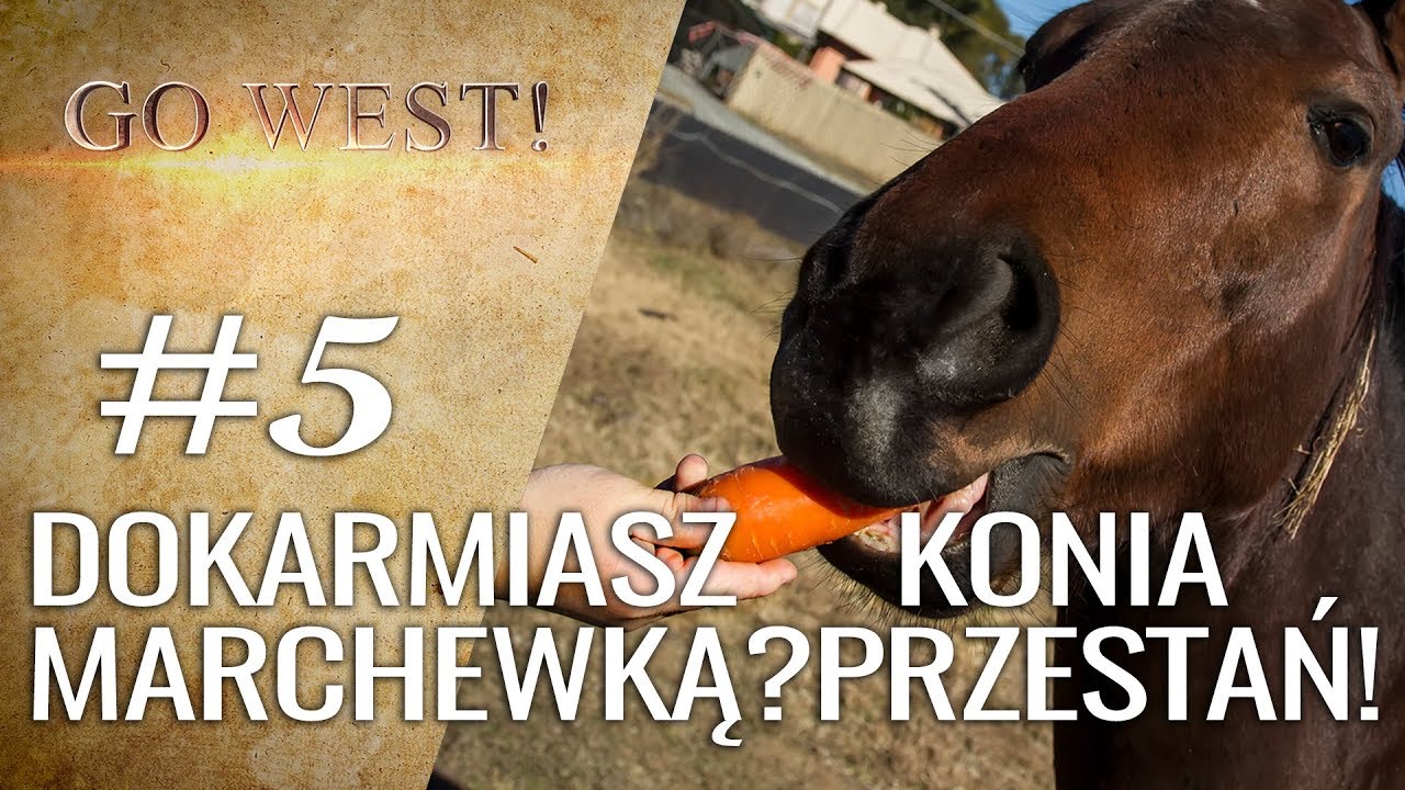 Go West - #5 - Dokarmiasz swojego konia marchewką? Przestań!