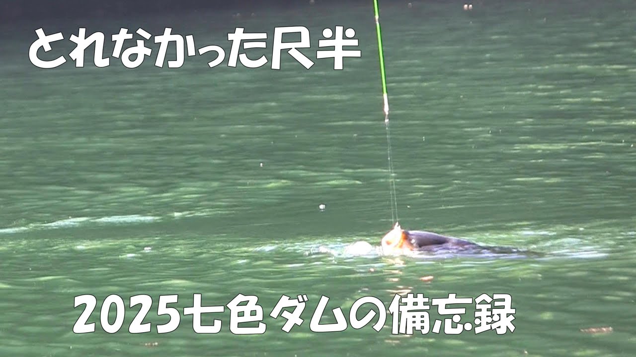 捕れなかった尺半 2025年七色ダムの備忘録