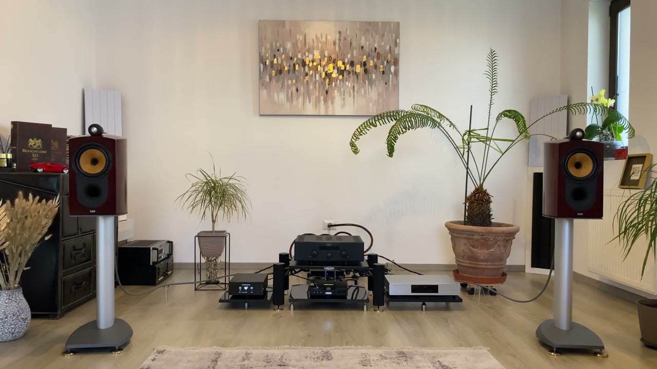 I'm Not Sorry - Jess Tailor | True Immersive HiFi Experience