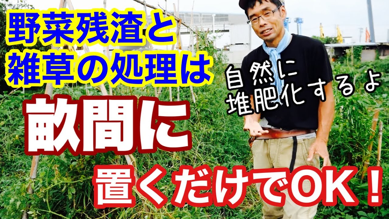 【雑草と野菜残渣を利用する土づくり】畝間で堆肥にする簡単なやり方〔自然農〕2022年9月22日