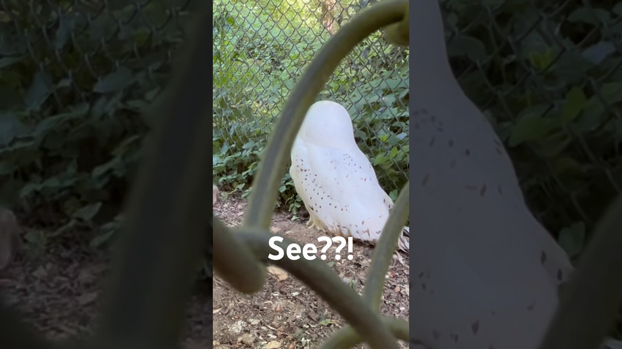 When you love nature!!😍