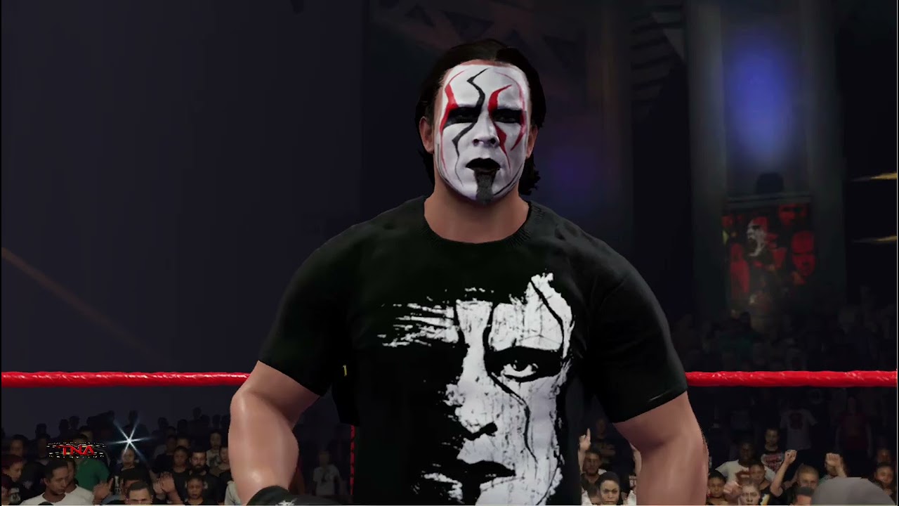 TNA   Sting vs Steiner
