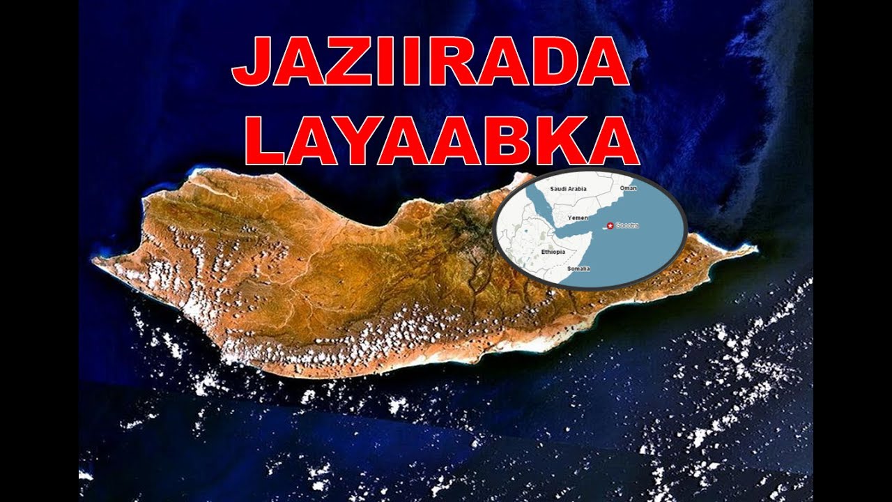 jaziirada layaabka  suqatra - socotra - #OGAANSHO