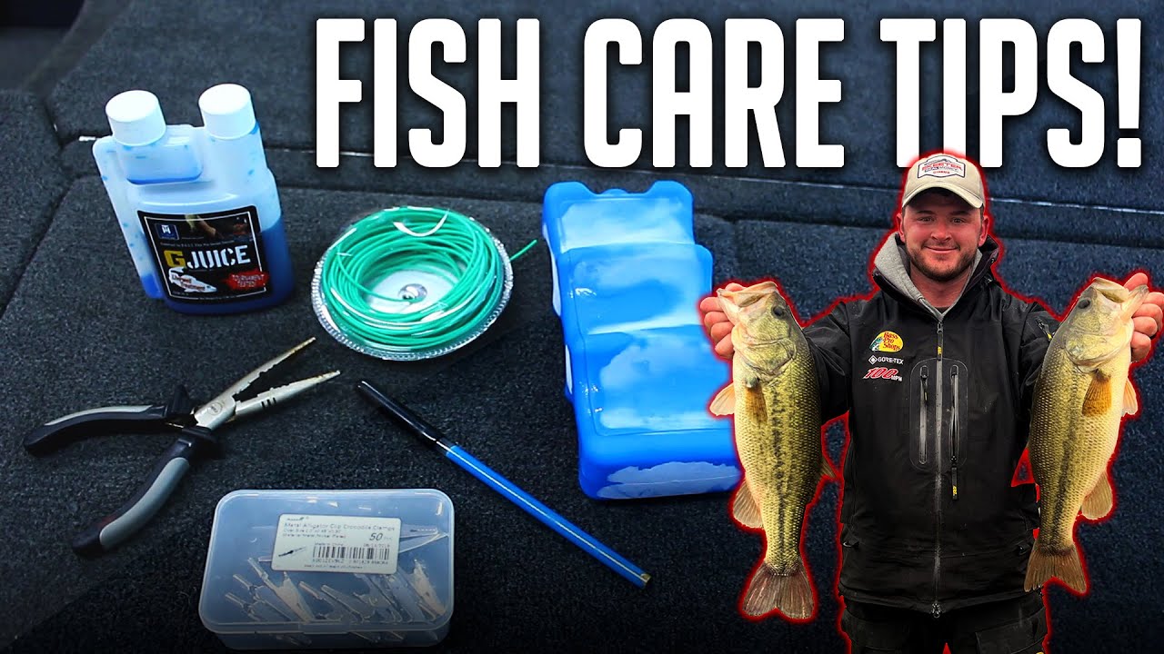 Save Your Bass Tournament with The BEST Fish Care!