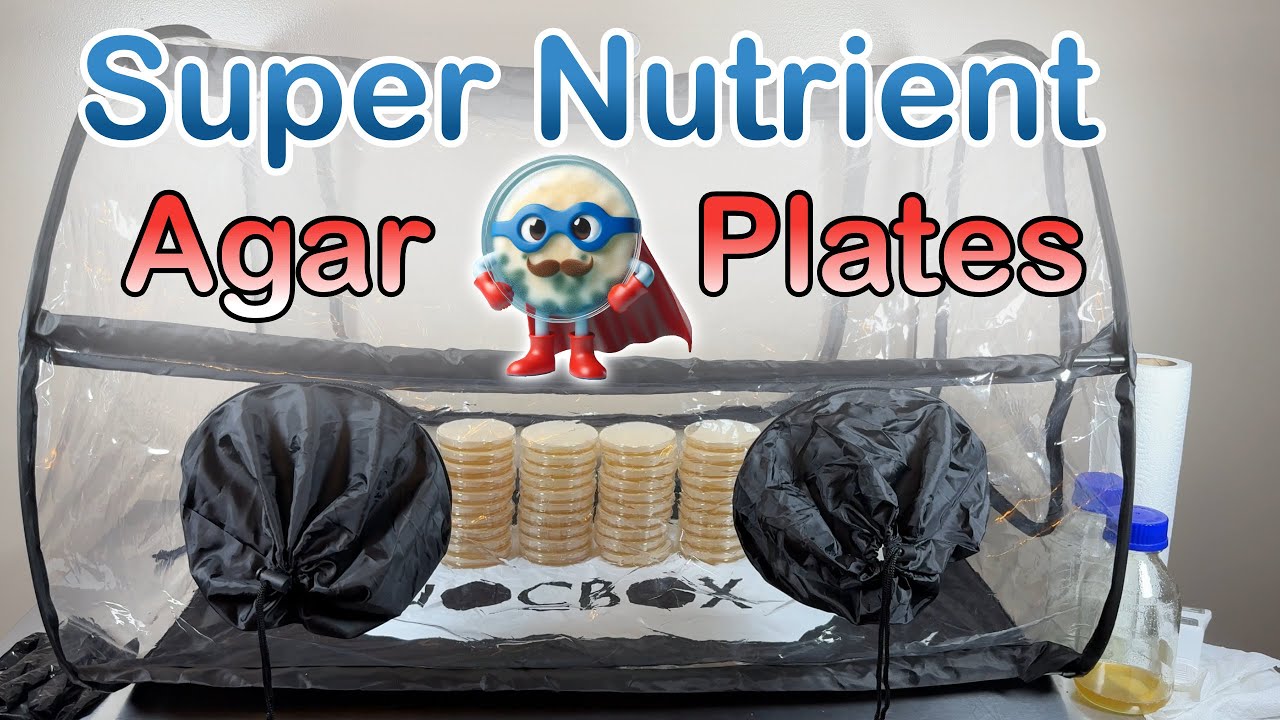 How to Make Super Nutrient Agar Plates for Mycology