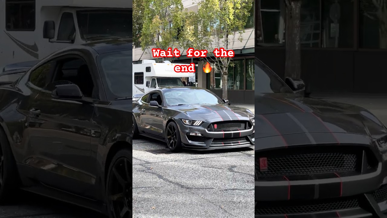 Shelby GT350 &ndash; Voodoo V8 Roar! 🎶
