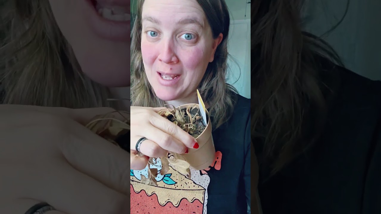 Day 21 January Declutter Challenge! 