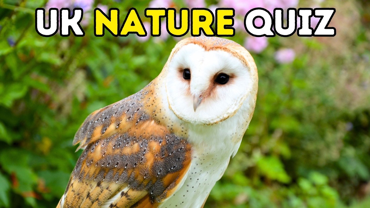 20 Multiple Choice Questions About UK Wildlife and Natural Wonders