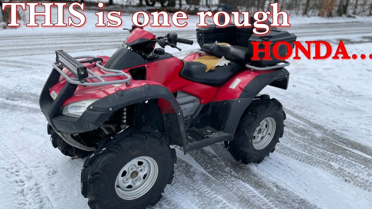 HONDA RINCON oil change and small test run!