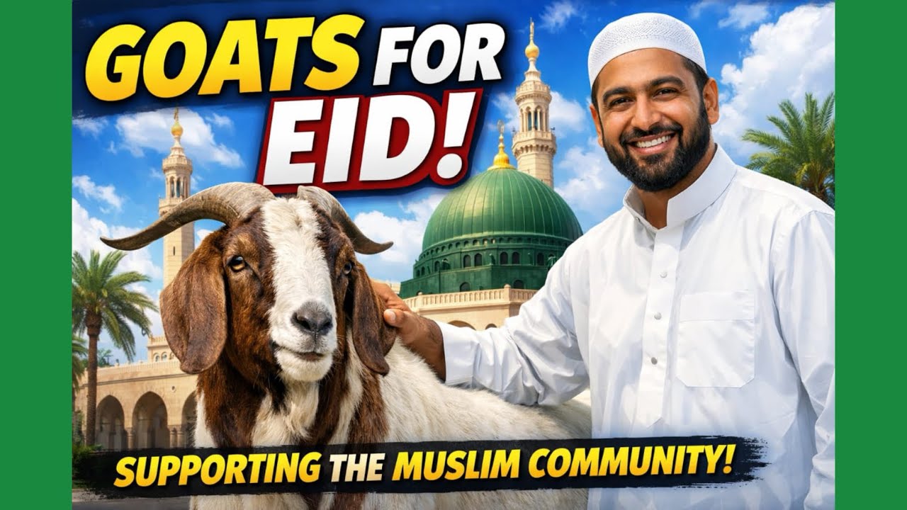 Ramadan, Eid & The Muslim Goat Market Opportunities in Zimbabwe |900 Goats per year in Bulawayo | 