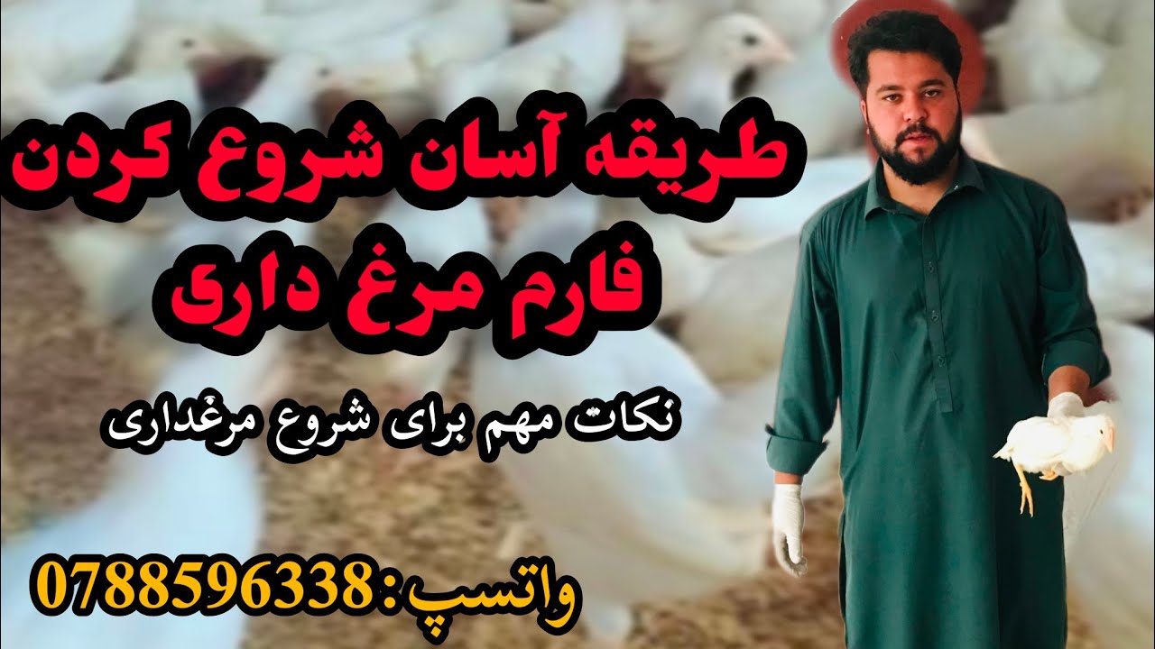 چطور یک فارم مرغ بسازیم💚