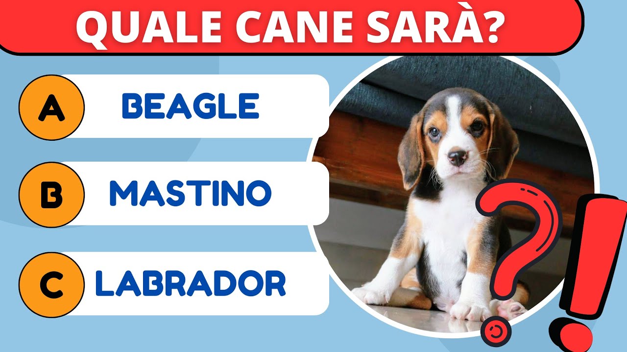 Indovina il Cane Quiz sulla Razza Canina | Allena la mente |QUIZ QUASAR