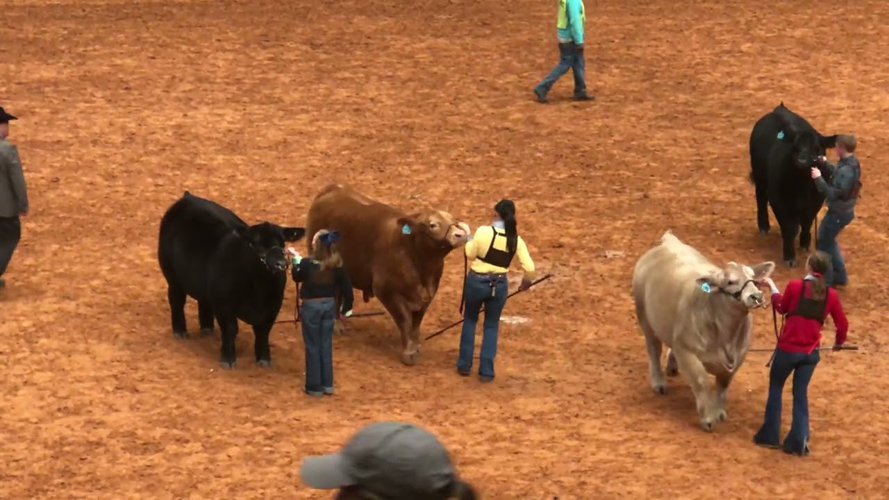 Fort Worth Stock Show 2022