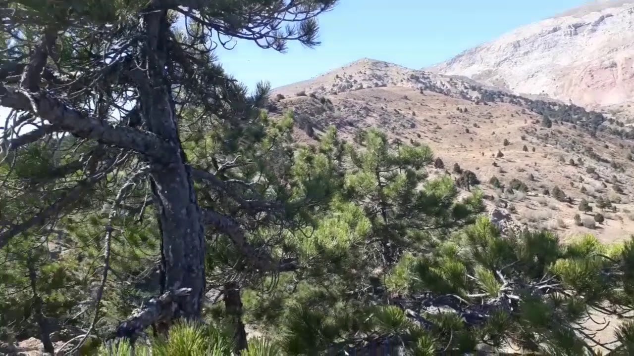 Yukarı karaçay kavak yaylası.