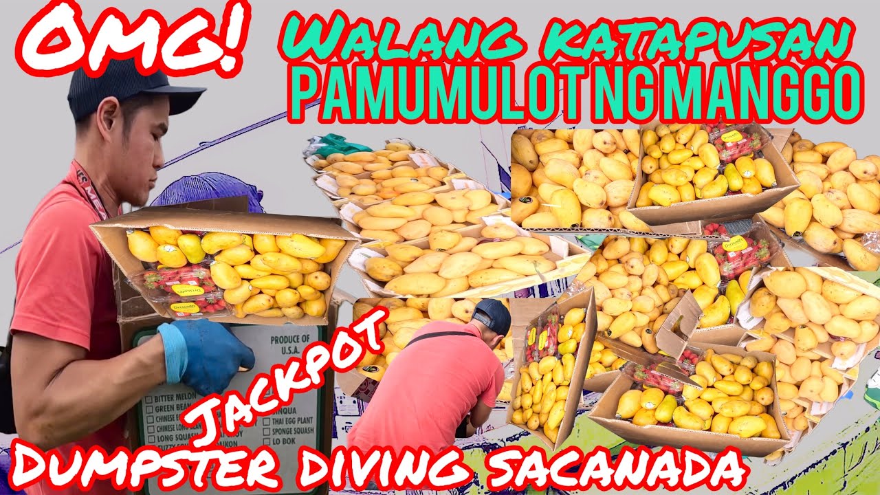 НЫРЬЁМ В МУСОРНЫХ КОНТЕЙНЕРАХ/Я БЫЛ ПОТРЯСЕН ОБЪЕМОМ МАНГИ, ОНА БЫЛА ПОЧТИ КАК МЯСО ИЗ МУСОРНЫХ Т...