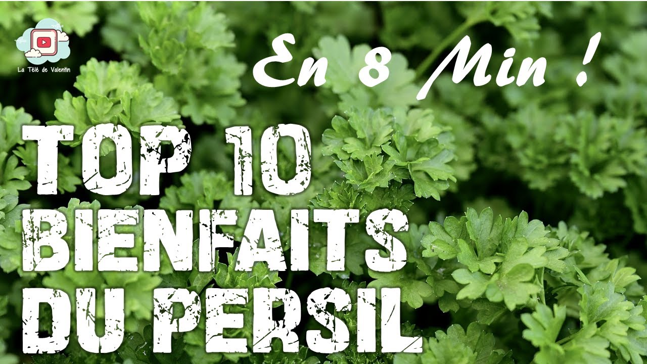 8 MIN POUR APPRENDRE LES 10 BIENFAITS DU PERSIL ! (anxiété, digestion, immunité)