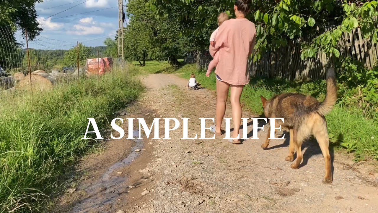 A simple life in the countryside 🤍 O viață simplă, la țară #slowliving #viațalațară
