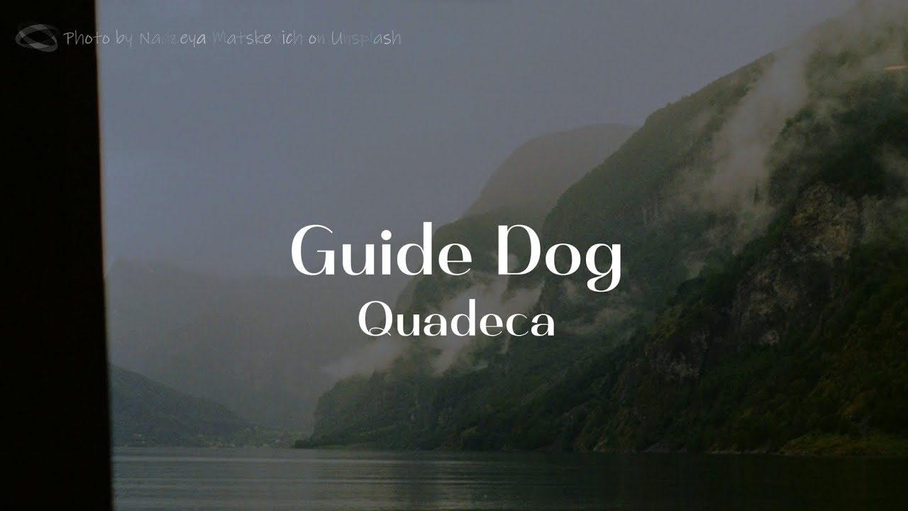 Quadeca - Guide Dog (lyrics)