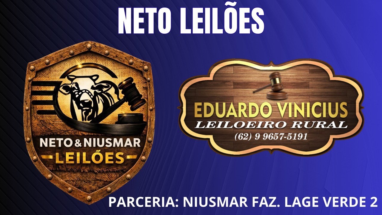 NETO LEILÕES E NIUSMAR - GOIANÉSIA - GO - 09/03/2026