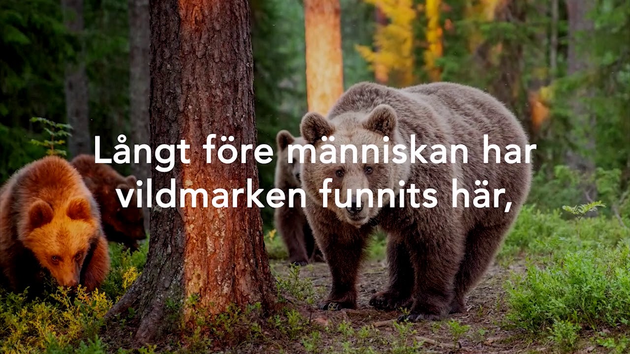 Sustainable Finland - SE