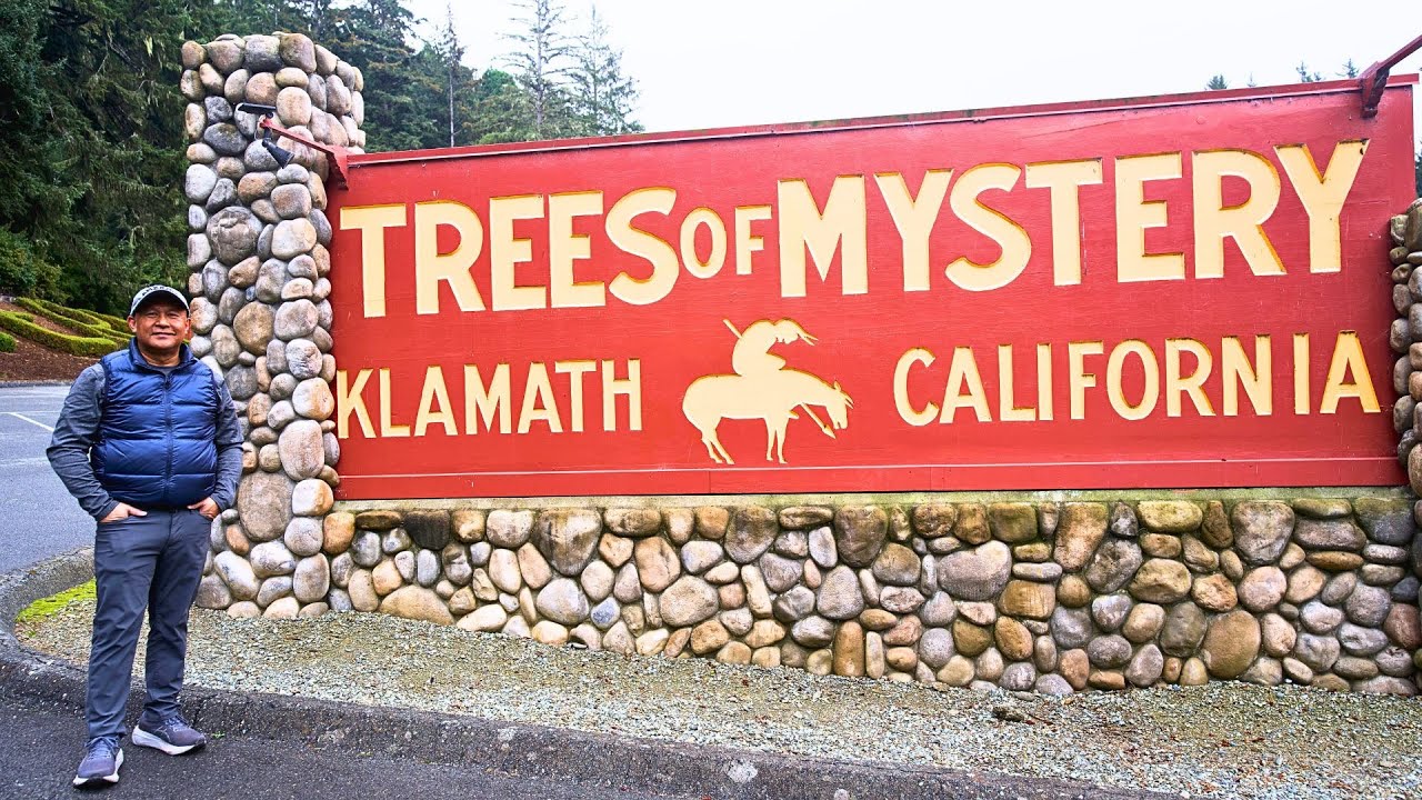 Discover the Majestic Wonders of Trees of Mystery #travelphotography #redwood #xplorispots