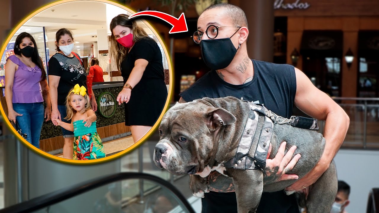 REAÇÃO DAS PESSOAS AO VEREM MEU CACHORRO NO SHOPPING 5