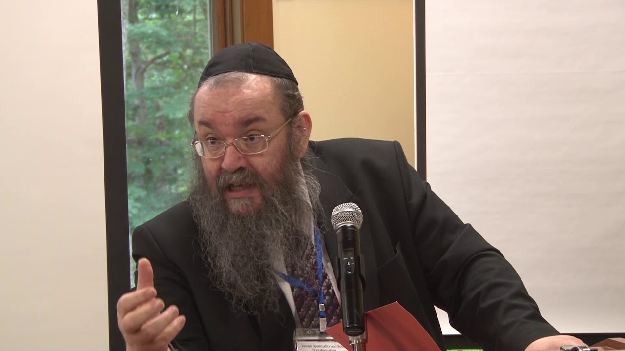 Halakhah and Meta-Halakhic Considerations - Chaim Rapoport