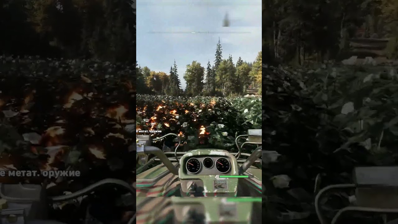 Курица #farcry5  #farcry #ubisoft  #pc  #ps4 #funny #fc5 #gameplay  #stealth  #beforeyoubuy