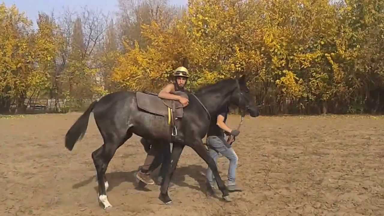 Csikók 3. nap !!!5.