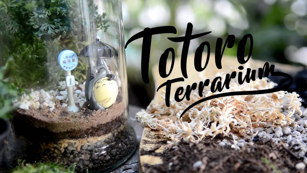 Geek's Garden: Totoro Terrarium
