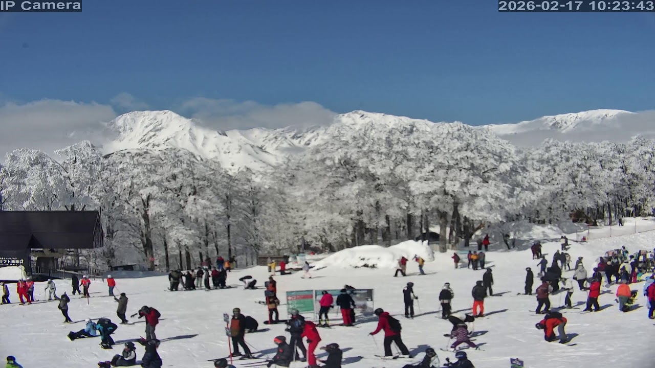 Camera 白馬岩岳マウンテンリゾート - 2026-02-16 16:38