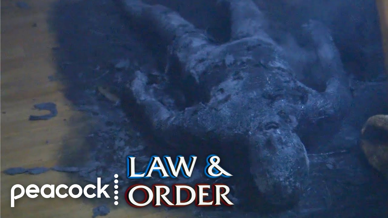 Scientists Die In A House Fire | Law & Order