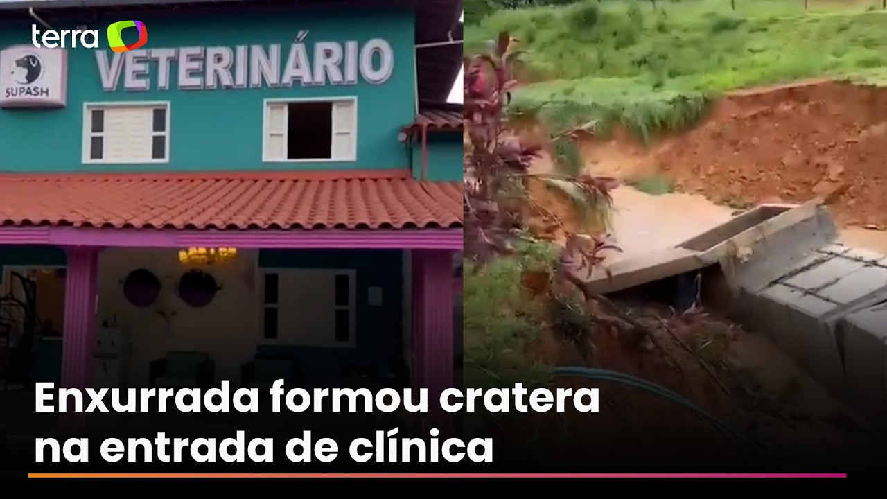 Chuva derruba ponte e deixa canil e centro veterinário ilhados em MG: ‘Isolados’