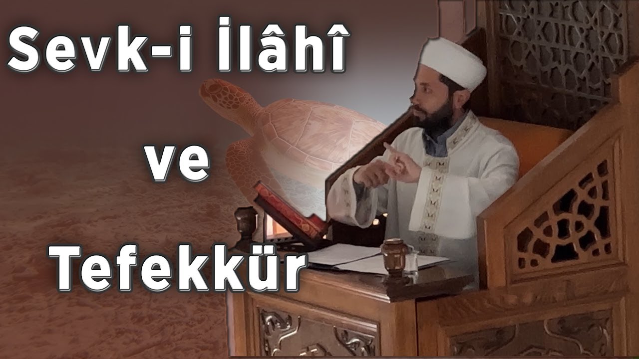 Sevk-i İlâhî: Allah'ın 