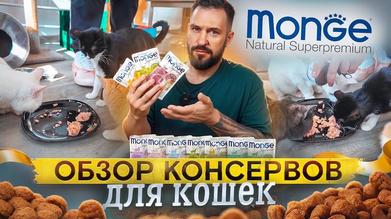 Аппетитный, ароматный, вкусный обзор консервов для кошек Monge Supreme | Влажный корм для кошек