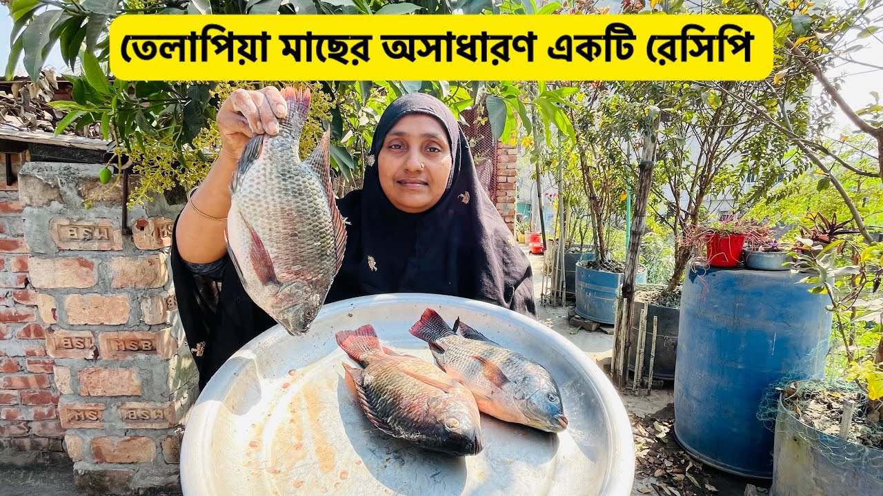 গাছের সবজি দিয়ে তেলাপিয়া মাছের ঝোল॥