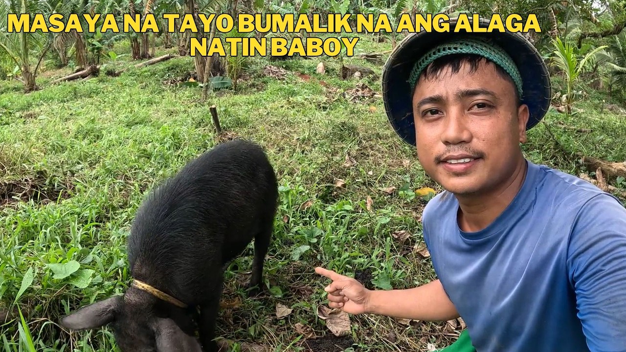 PAGDIDILIG NG AMPALAYA AT PIPINO SALAMAT AT BUMALIK NA ANG ALAGA KUNG BABOY