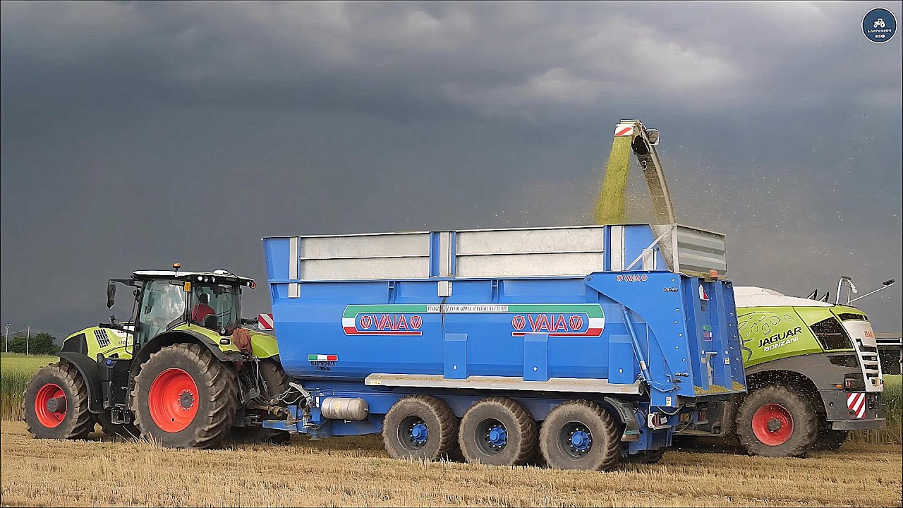 Claas Jaguar 980 Special + Direct Disc 600 - BONZANI - Trinciatura triticale 2024
