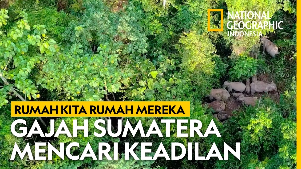 RUMAH KITA RUMAH MEREKA: Harmonisasi Manusia Dan Alam - National Geographic Indonesia