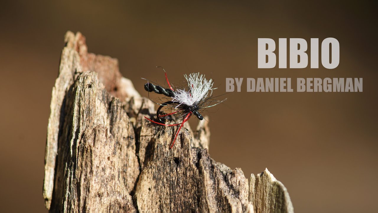 Bibio by Daniel Bergman
