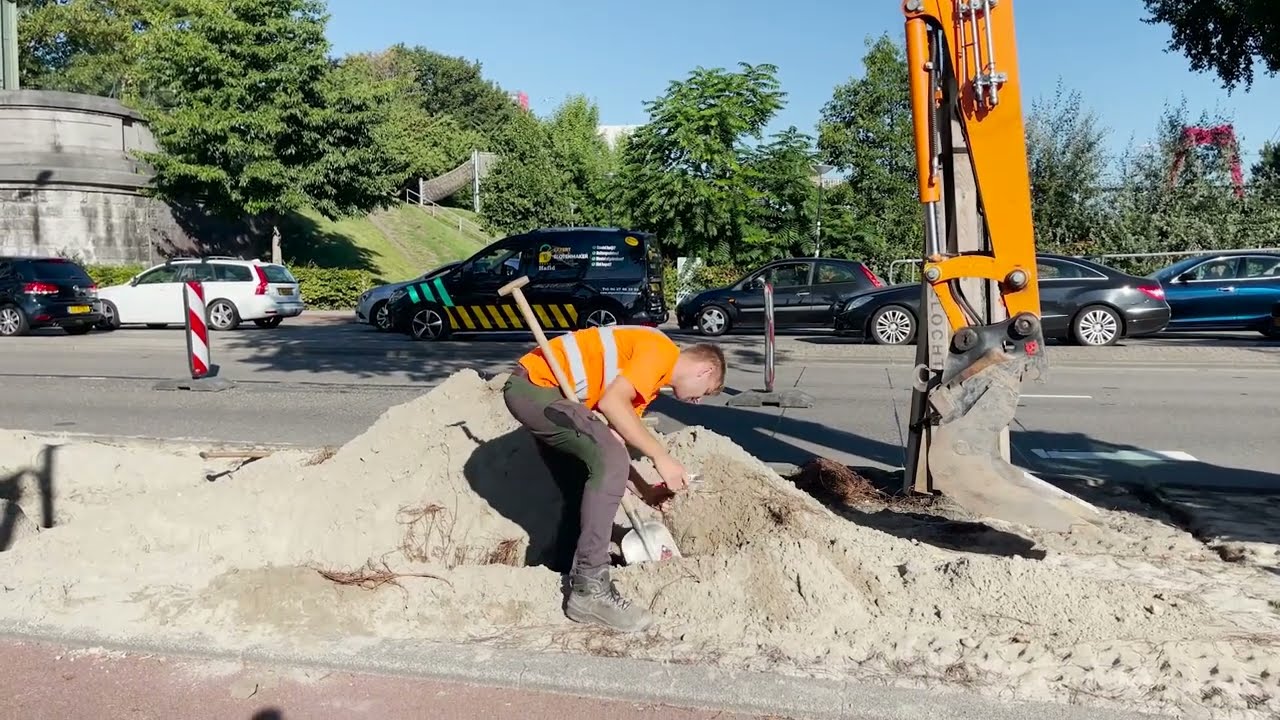 Rotterdam investeert in stadsbomen | #GemeenteRotterdam