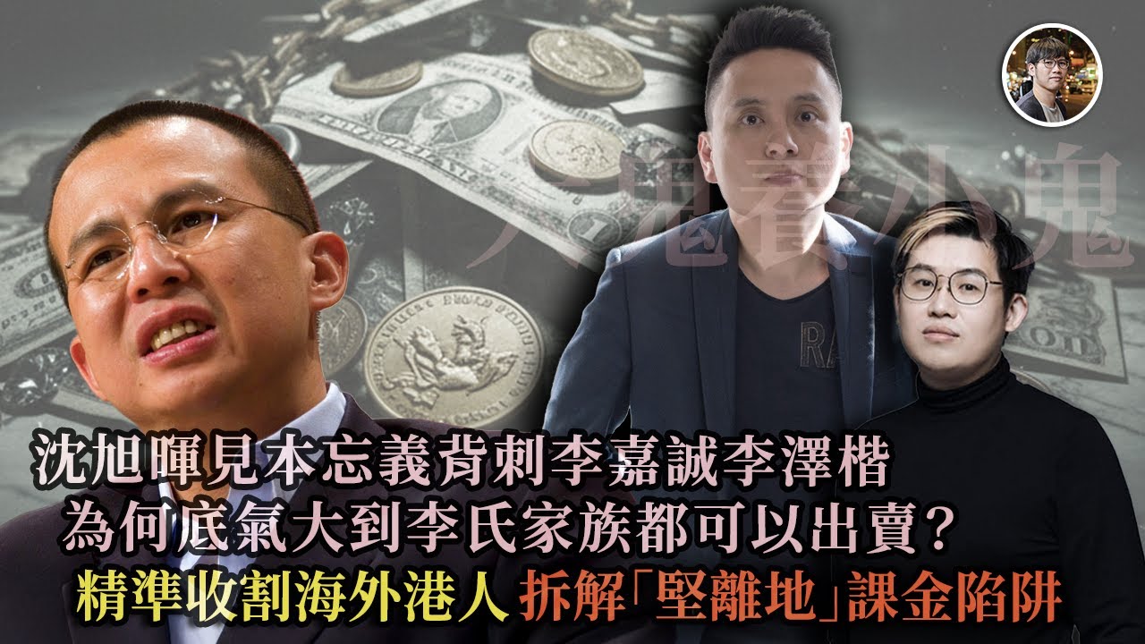 應該學蘋果日報黎智英被討厭的勇氣，見到葉國華沈旭暉馮智政集團要直斥其非！ 揭破沈旭暉多年來給了多少海外黃絲課金養虎為患 - 快閃拆解經濟【FDB Asset Management 特約贊助】