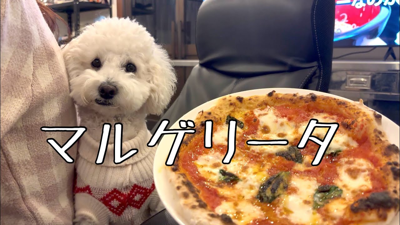 ピザどろぼう