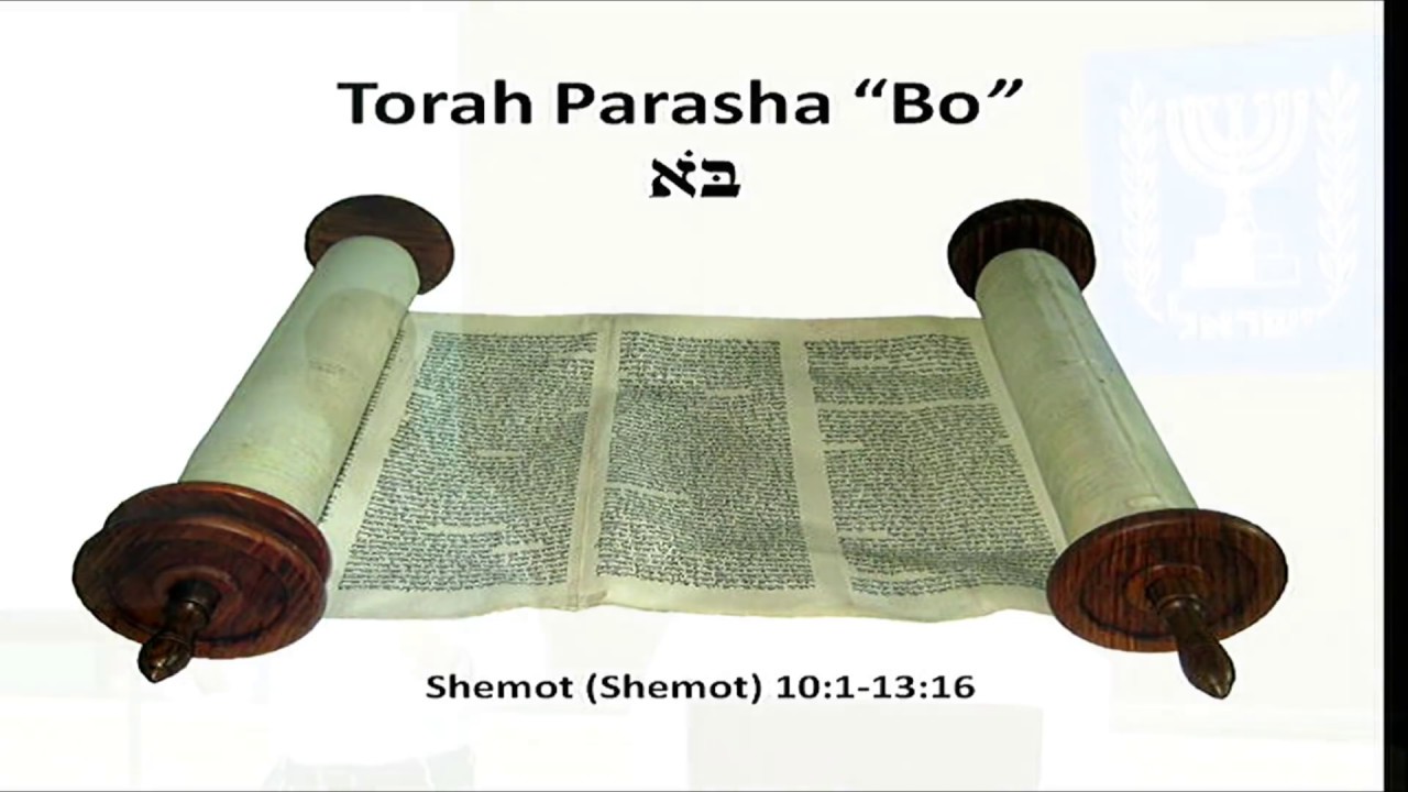#15 Haftarah Bo - Parallels between Egypt's Judgment and Israel's Deliverance!