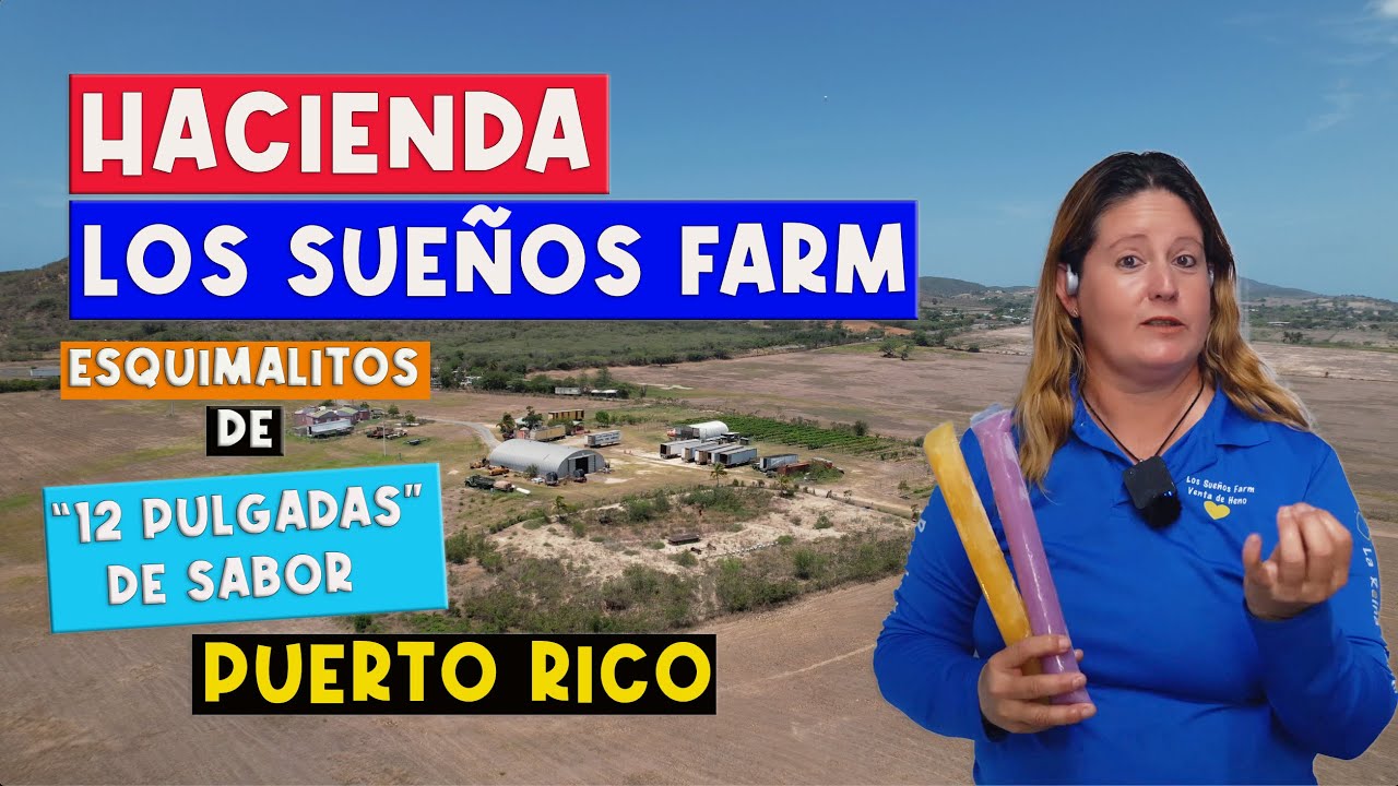 🛑 Los Esquimalitos de Lajas, en la 