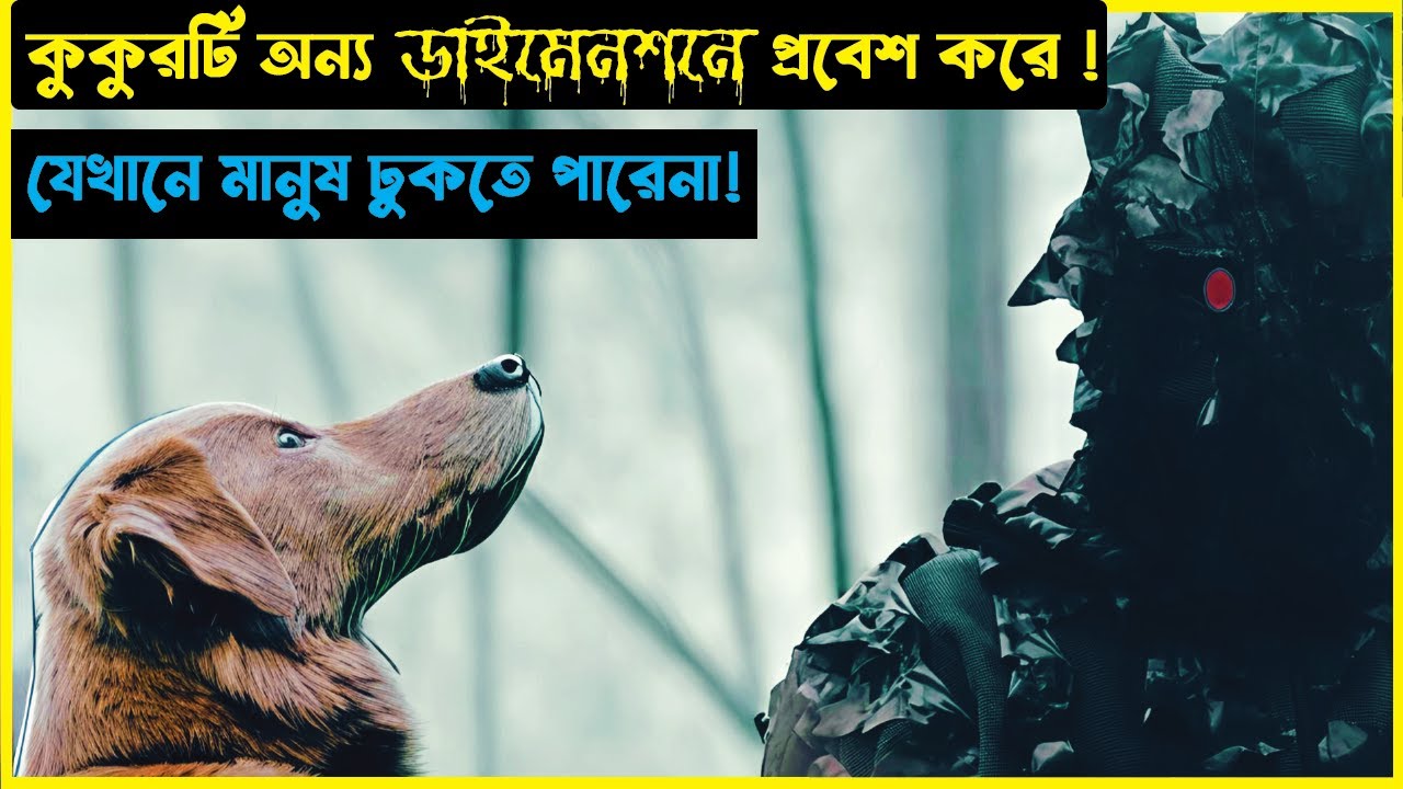 “কুকুর কি সত্যিই অদৃশ্য কিছু দেখে? ”🐈 | good boy 2025 movie explained in bangla