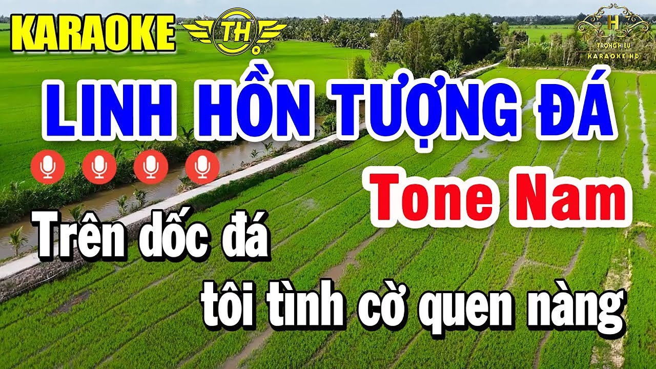 Linh Hồn Tượng Đá Karaoke Tone Nam ( Am ) Nhạc Sống Chất Lượng Cao | Trọng Hiếu