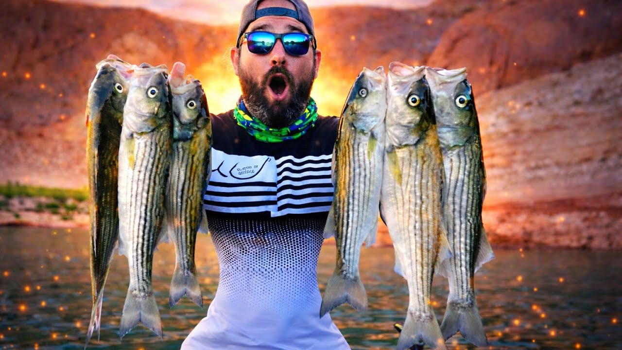 This Striper Bite Got Out of Control Fast 